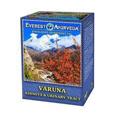 Гималайский рассыпной чай Эверест Аюрведа Varuna, 100 г цена и информация | Чай | kaup24.ee