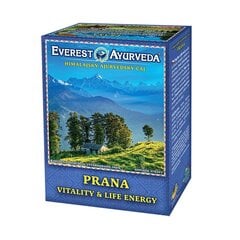 Himaalaja lahtine tee Everest Ayurveda Prana, 100 g hind ja info | Tee | kaup24.ee