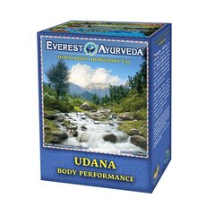 Гималайский рассыпной чай Everest Ayurveda Udana, 100 г цена и информация | Чай | kaup24.ee