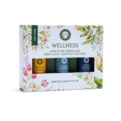 Eeterlike õlide komplekt Song of India Wellness, 3x5 ml цена и информация | Эфирные, косметические масла, гидролаты | kaup24.ee