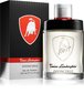Tualettvesi Tonino Lamborghini Invincibile EDT meestele 125 ml hind ja info | Meeste parfüümid | kaup24.ee