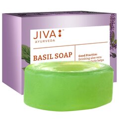 Мыло с базиликом Basil Soap Jiva Ayurveda, 100г цена и информация | Мыло | kaup24.ee