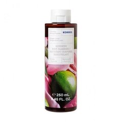 Dušigeel Revita Ginger Lime, 250 ml hind ja info | Dušigeelid, õlid | kaup24.ee