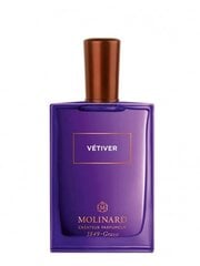 Parfüümvesi Molinard - Vetiver EDP meestele, 75 ml hind ja info | Meeste parfüümid | kaup24.ee