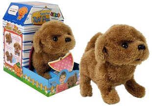 Интерактивный щенок, коричневый цена и информация | Мягкие игрушки | kaup24.ee