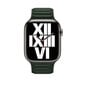 Rihm Apple Watchile – Sequoia Green 38/40/41mm hind ja info | Nutikellade ja nutivõrude tarvikud | kaup24.ee