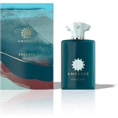 Парфюмированная вода Amouage Enclave EDP, 100 мл цена и информация | Amouage Духи, косметика | kaup24.ee