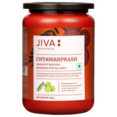 Ayurvedic herbs Chyawanprash, Jiva Ayurveda, 500g hind ja info | Hoidised, keedised, konservid | kaup24.ee