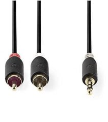 Nedis Aux Audio Cable 3.5 mm -> 2x RCA 3m Black цена и информация | Кабели для телефонов | kaup24.ee