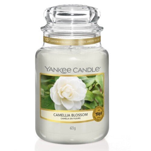 Küünal Yankee Candle Camellia Blossom Candle - Scented candle, 104 g hind ja info | Küünlad, küünlajalad | kaup24.ee
