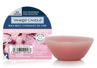 Lõhnavaha Yankee Candle Cherry Blossom Wax Melt - Aromatic wax for aroma lamps, 22 g hind ja info | Küünlad, küünlajalad | kaup24.ee