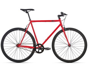 Fixie jalgratas 6KU Cayenne - L hind ja info | Jalgrattad | kaup24.ee