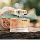 Parfüümvesi Chloe Naturelle EDP naistele 100 ml hind ja info | Naiste parfüümid | kaup24.ee