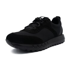 Meeste tossud Conhpol 3349C01 hind ja info | Meeste kingad, saapad | kaup24.ee