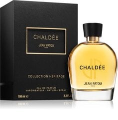 Parfüümvesi Jean Patou Chaldee EDP naistele 100 ml hind ja info | Naiste parfüümid | kaup24.ee