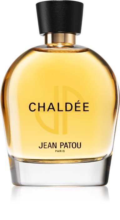 Parfüümvesi Jean Patou Chaldee EDP naistele 100 ml цена и информация | Naiste parfüümid | kaup24.ee