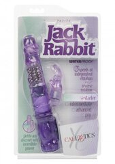 Vibraator Petite Jack Rabbit 12 cm, CalExotics, lilla hind ja info | Vibraatorid | kaup24.ee