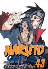 Naruto, Vol. 43: The Man with the Truth, v. 43 цена и информация | Пособия по изучению иностранных языков | kaup24.ee