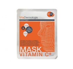 Осветляющая листовая маска для лица с витамином С и гиалуроновой кислотой VitaDermologie цена и информация | Маски для лица, патчи для глаз | kaup24.ee