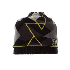 Детская шапка Huppa Power 94070000*22409, черная 4741632131170 цена и информация | Шапки, перчатки, шарфы для мальчиков | kaup24.ee