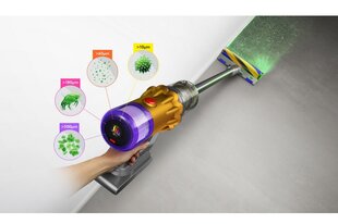 Dyson V12 Slim Detect Absolute цена и информация | Беспроводные пылесосы | kaup24.ee