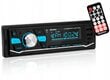 Bluetooth stereo Blow BM202 1-DIN hind ja info | Autoraadiod, multimeedia | kaup24.ee