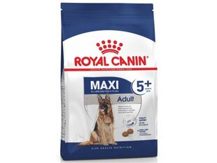 Сухой корм для собак Royal Canin SHN Maxi Adult 5+, для пожилых собак, 4 кг цена и информация | Сухой корм для собак | kaup24.ee