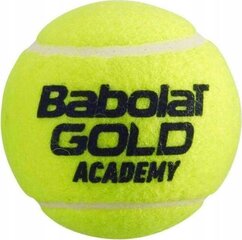 Tennisepallid Babolat Gold Academy, 3 tk цена и информация | Товары для большого тенниса | kaup24.ee