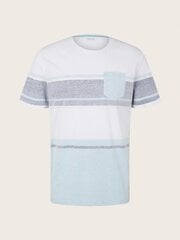 Мужская футболка Tom Tailor 1031573*10668, белая/серая. 4065308670047 цена и информация | Мужские футболки | kaup24.ee