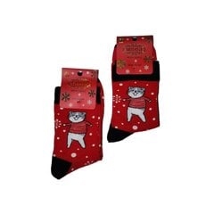 Рождественские мужские носки цена и информация | Мужские носки | kaup24.ee
