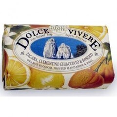 Натуральное мыло Nesti Dante Dolce Vivere Orange Blossom, Frosted Mandarine & Brasil, 250 г цена и информация | Мыло | kaup24.ee