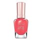 Küünelakk Sally Hansen Color Therapy Argan Oil Formula 14.7 ml hind ja info | Küünelakid, küünetugevdajad | kaup24.ee