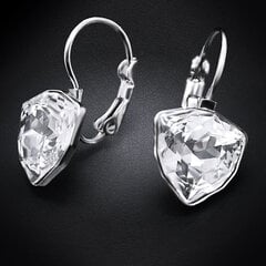 Серьги "Бермудский Треугольник (Crystal)" с кристаллами Swarovski™ цена и информация | Серьги | kaup24.ee