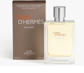 Parfüümvesi Hermes Terre D'Hermes Eau Givree EDP meestele 100 ml цена и информация | Мужские духи | kaup24.ee