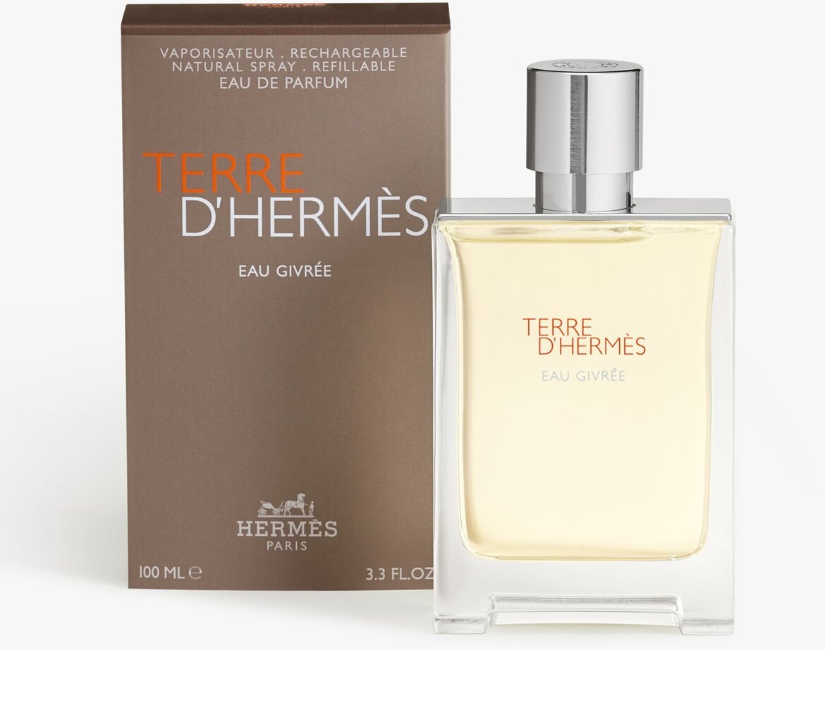 Parfüümvesi Hermes Terre D'Hermes Eau Givree EDP meestele 100 ml цена и информация | Meeste parfüümid | kaup24.ee