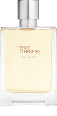 Parfüümvesi Hermes Terre D'Hermes Eau Givree EDP meestele 100 ml цена и информация | Мужские духи | kaup24.ee