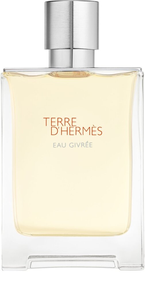 Parfüümvesi Hermes Terre D'Hermes Eau Givree EDP meestele 100 ml цена и информация | Meeste parfüümid | kaup24.ee