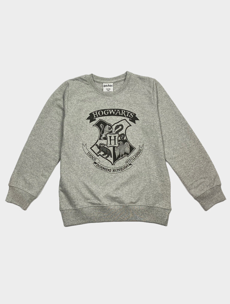 Laste pusa Harry Potter hind ja info | Poiste kampsunid, vestid ja jakid | kaup24.ee