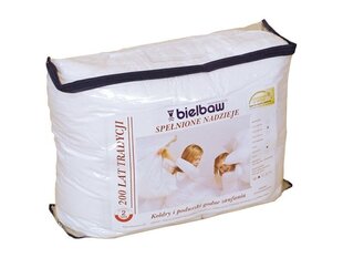Bielbaw одеяло Fulfilled Hopes, 155x200 см цена и информация | Одеяла | kaup24.ee