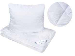 Одеяло Bielbaw Sweet Dreams 4 Seasons 135x200 см цена и информация | Одеяла | kaup24.ee