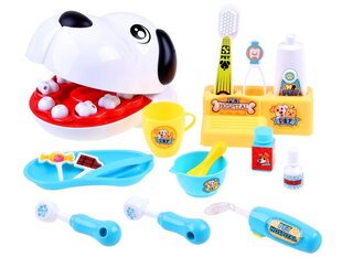 Hambaarsti juures on koeral hambavalu hind ja info | Arendavad mänguasjad | kaup24.ee