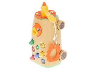 Magnetiline linnutoidumäng ratastel hind ja info | Poiste mänguasjad | kaup24.ee