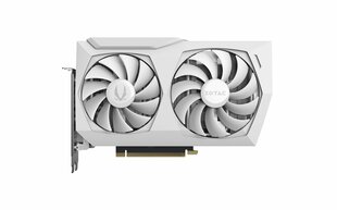 GAMING GeForce RTX 3060 Ti AMP White Edition LHR NVIDIA 8 GB GDDR6 hind ja info | Videokaardid (GPU) | kaup24.ee