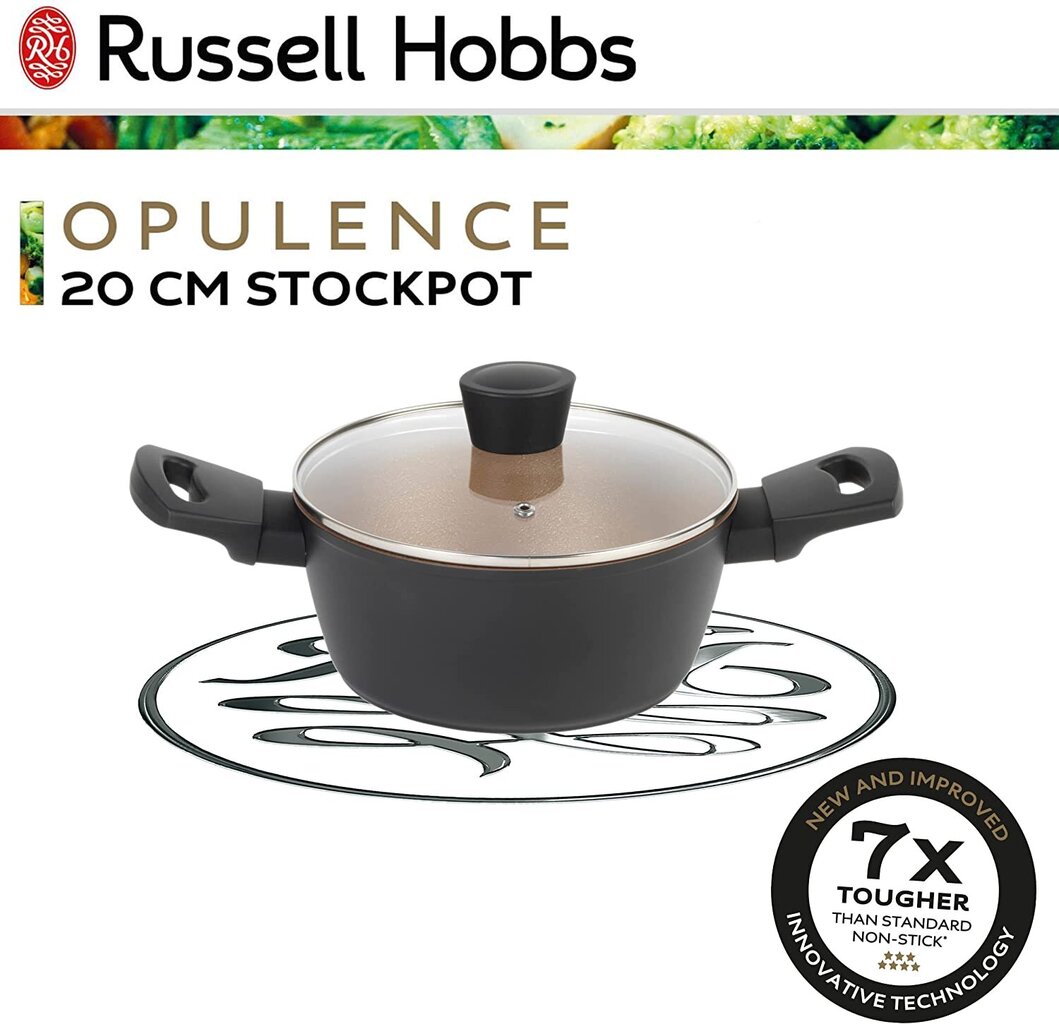 Pott Russell Hobbs RH01669BEU7 цена и информация | Potid ja kiirkeedupotid | kaup24.ee