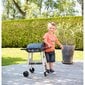 Laste grillimine õues цена и информация | Mänguväljakud, mängumajad | kaup24.ee