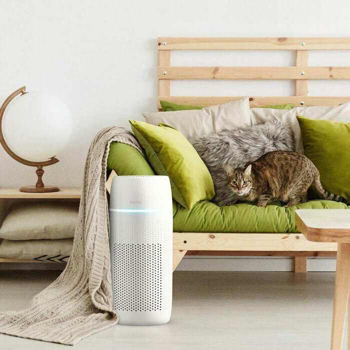 Õhupuhasti HoMedics AP-PET35WT-EU цена и информация | Õhupuhastajad | kaup24.ee