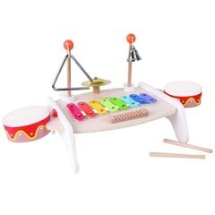 Muusikainstrumentide komplekt lastele hind ja info | Arendavad mänguasjad | kaup24.ee