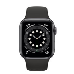 Apple Watch Series 6 40mm GPS, Space Gray (kasutatud, seisukord A) цена и информация | Смарт-часы (smartwatch) | kaup24.ee