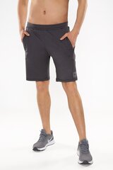 Meeste lühikesed püksid SPACE SHORTS hind ja info | Meeste spordiriided | kaup24.ee