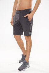 Meeste lühikesed püksid SPACE SHORTS цена и информация | Мужская спортивная одежда | kaup24.ee